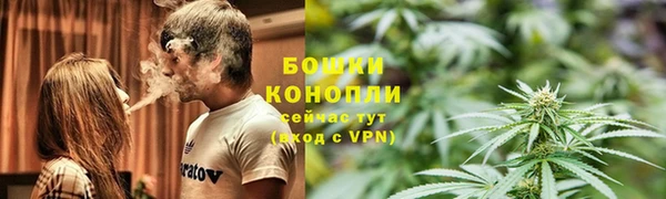 ГАЛЛЮЦИНОГЕННЫЕ ГРИБЫ Гусиноозёрск