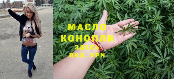 дмт Пересвет