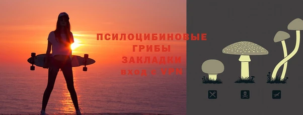 молекула духа Болхов