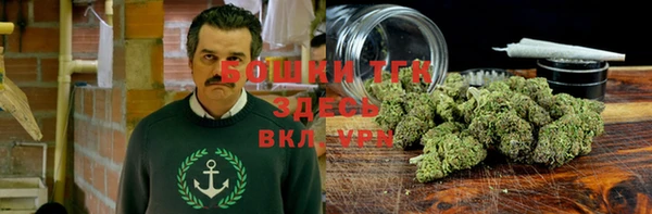 спиды Осинники
