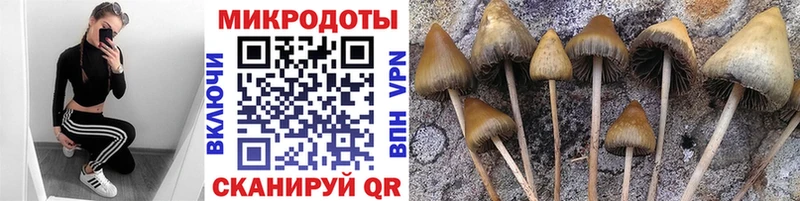 Галлюциногенные грибы GOLDEN TEACHER  Андреаполь 