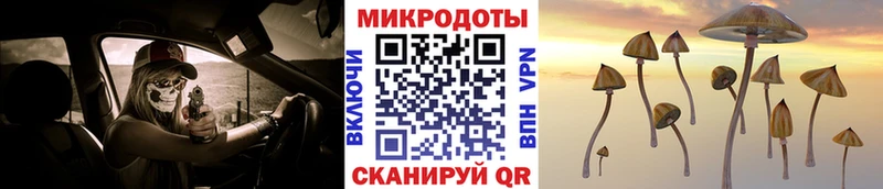 Псилоцибиновые грибы прущие грибы Андреаполь